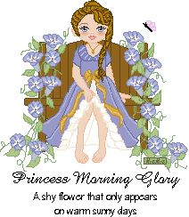 Princess Morning Glory